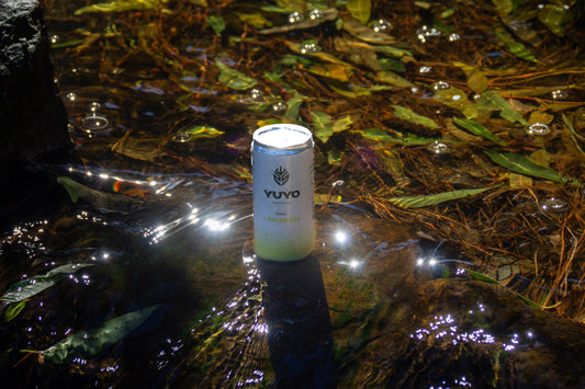 Energizante saludable: la alternativa natural al café