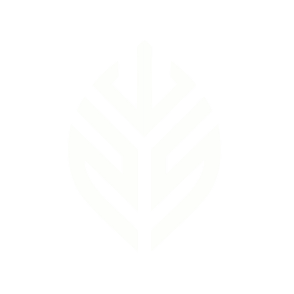 Latas YUYO, bebida natural de yerba mate y limón